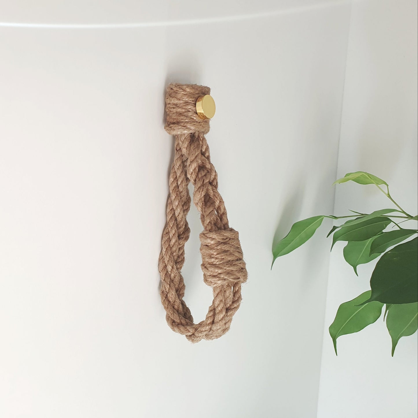 A natural jute rope wall hook with a small gold metal accent, hanging on a white wall next to a green plant.